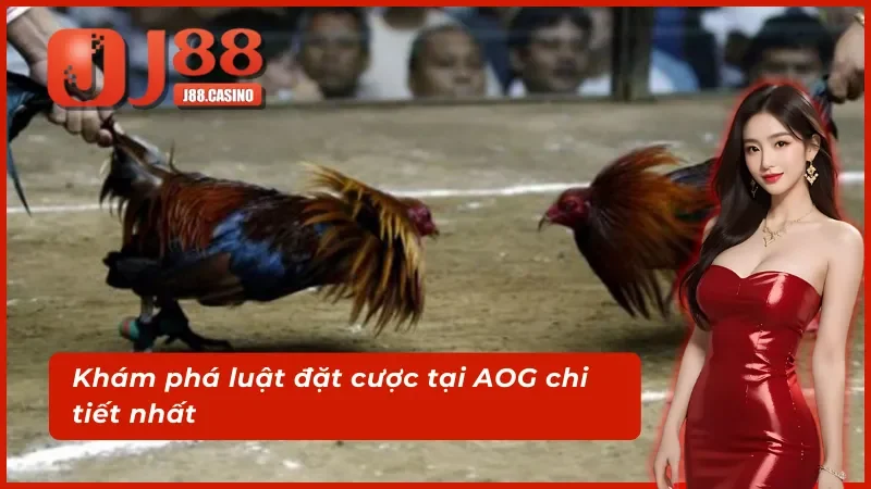 Luật chơi chi tiết và hiệu quả tại sảnh AOG đá gà