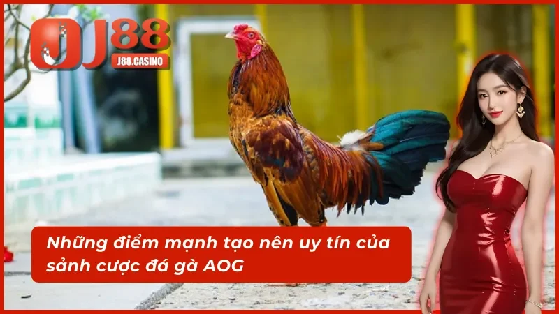 Điểm mạnh thu hút cược thủ trải nghiệm AOG đá gà