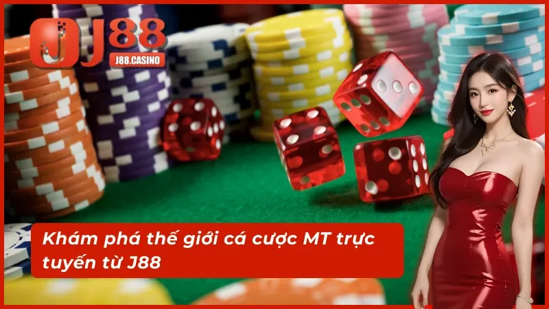 Trải nghiệm cá cược tại sảnh MT trực tuyến