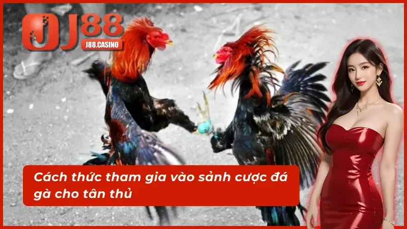 Các bước tham gia vào sảnh cược WS168 Đá Gà chi tiết